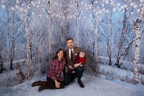 66 WINTER FOREST ROOM 3