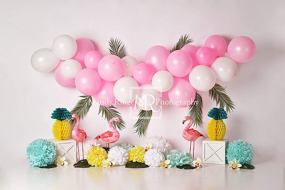 9-flamingo2
