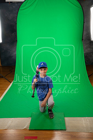 BLUE JAYS PICKET PIN CARTER-5574