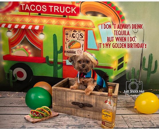 11-Taco Truck