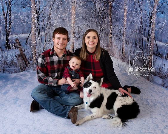 66 WINTER FOREST 2