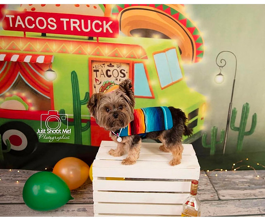 11-Taco Truck 2