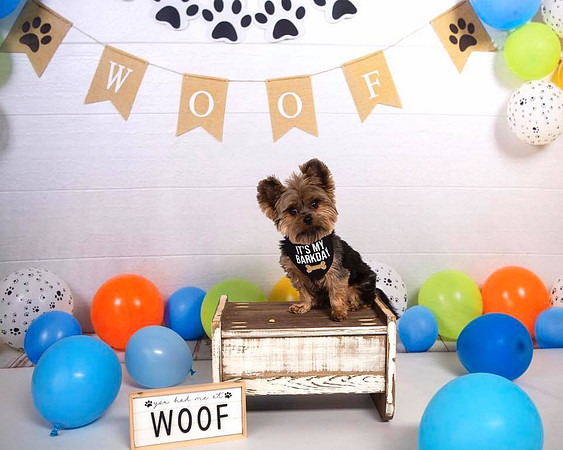 26-WOOF BALLOON BIRTHDAY